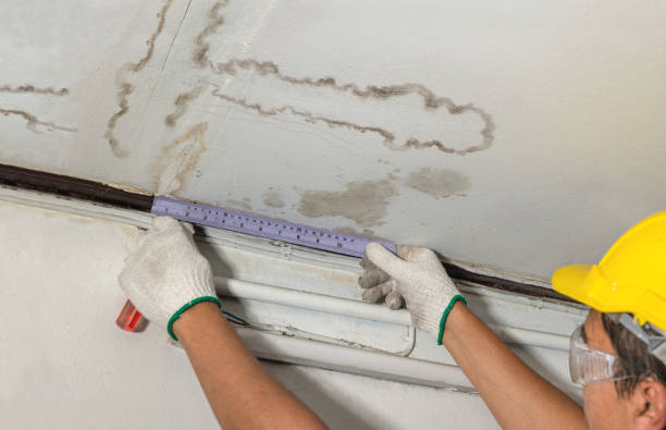 Reliable Mold Remediation contractor in Clare, MI by Local Water Damage Repair